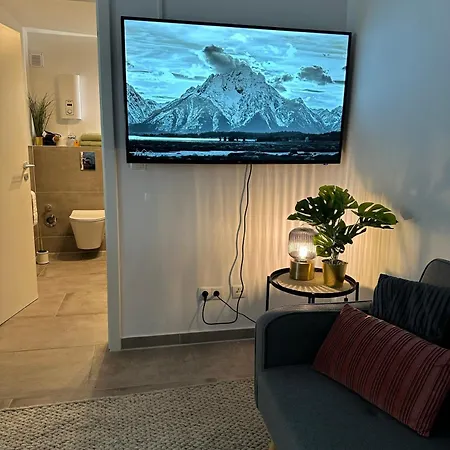 Lägenhet Deluxe Mit Terrasse Duisburg