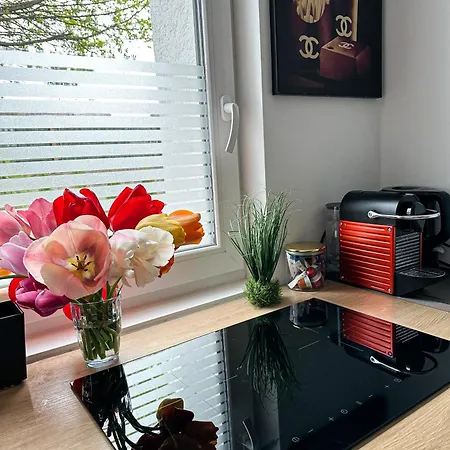 Deluxe Mit Terrasse Apartament *