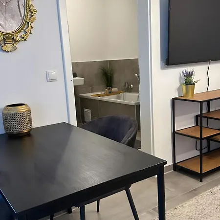 Deluxe Mit Terrasse Apartament Duisburg