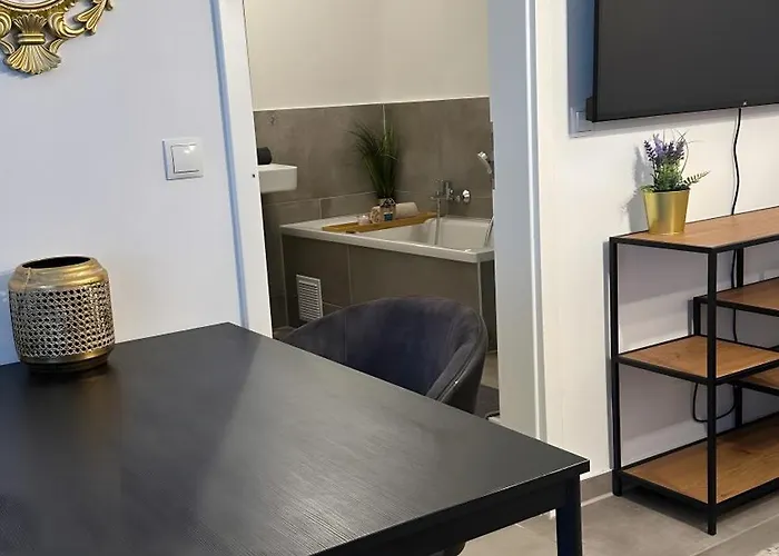 Deluxe Mit Terrasse * ドゥイスブルグ